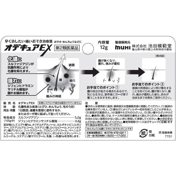 えんどう 薬理・病態・薬物治療 I, II 第2類医薬品】 フラーリンL錠 300錠 – 大慶堂 さんあい薬局