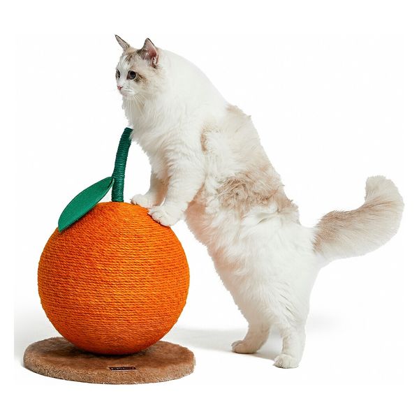 きつこね Amazon | キタコ (KITACO) 電源取り出しハーネス タイプ2 NINJA