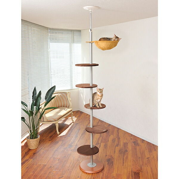 ボンビアルコン キャットポール(W53×D70×H220~265cm) 77930 1個（直送