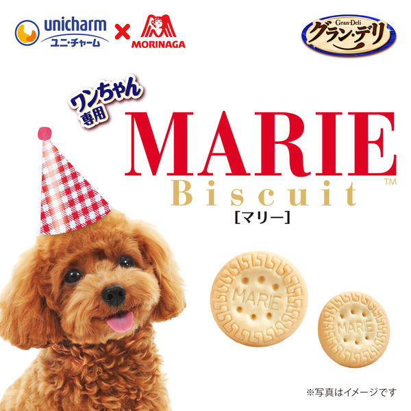 グラン・デリ ワンちゃん専用 マリービスケット ミルク味 国産 50g 1袋