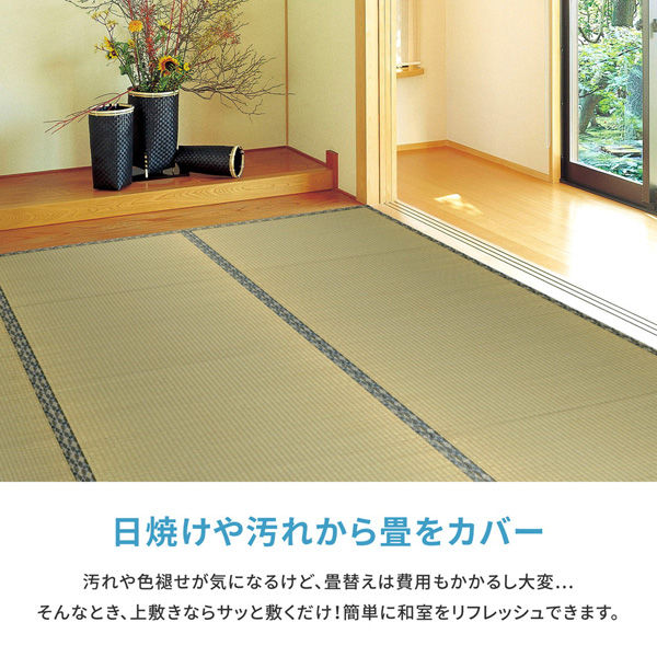 玄関渡し】 萩原 い草カーペット 白馬（はくば） 36間6畳 273×364cm（直送品） - アスクル