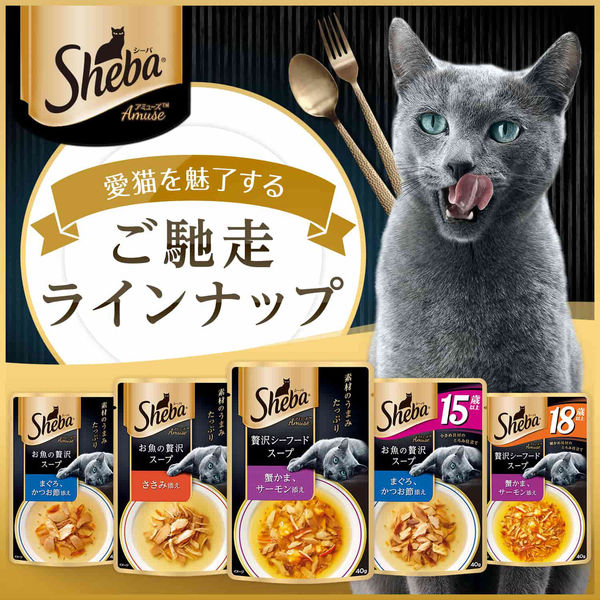 シーバ アミューズ お魚の贅沢スープ ささみ添え 40g 48袋 キャットフード 猫 ウェット パウチ - アスクル