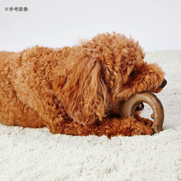 Amazon | ペティオ (Petio) ポルタ ウッディドッグホーム 犬用