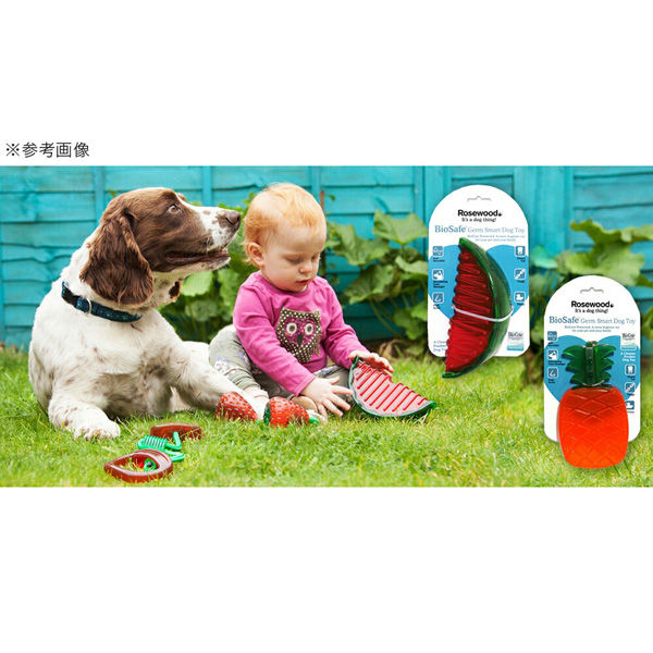 ラガー ROSEWOOD バイオセーフ スマートトイ ウォーターメロン 284600