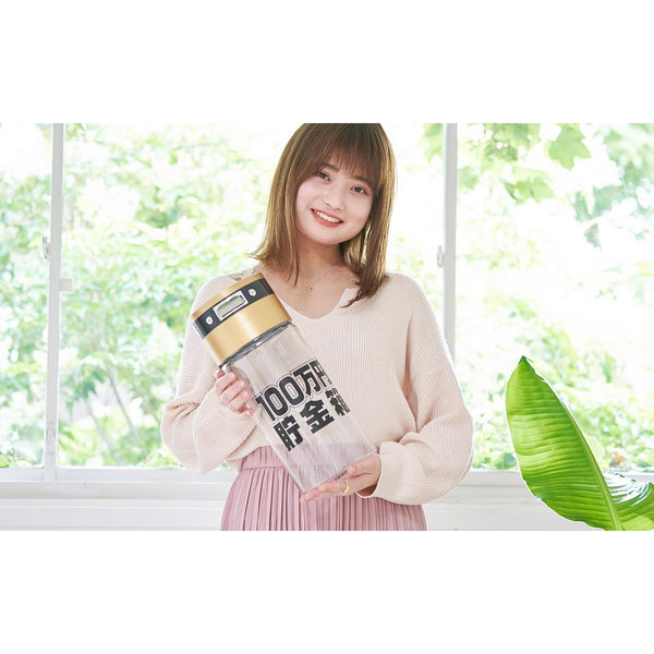 100日後に100万貯めますさん専用 ライソン 100万円貯まるカウントバンク KTAT-002D 1個（直送品
