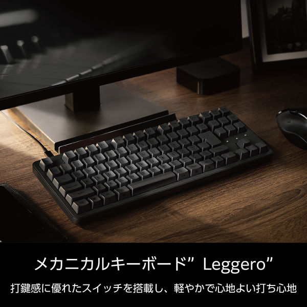 キーボード メカニカル 有線 着脱式ケーブル 静音 赤軸 テンキーレス