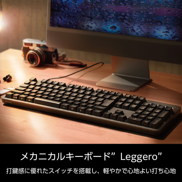 キーボード メカニカル 有線 着脱式ケーブル 赤軸 テンキー付き