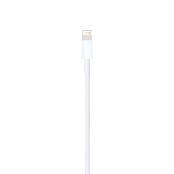 lightning-usbケーブル 31bpyxB6LrL.jpg_BO30,255,255,