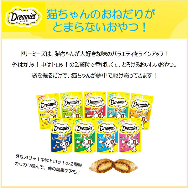 ドリーミーズ 毛玉ケア まぐろ味 60g 10袋 キャットフード 猫