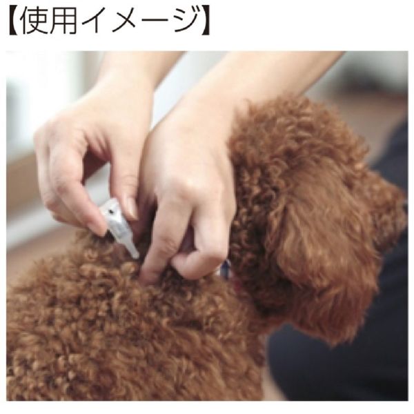 薬用ショットオン 小型犬用 約1ヶ月分 3本入 アース・ペット - アスクル