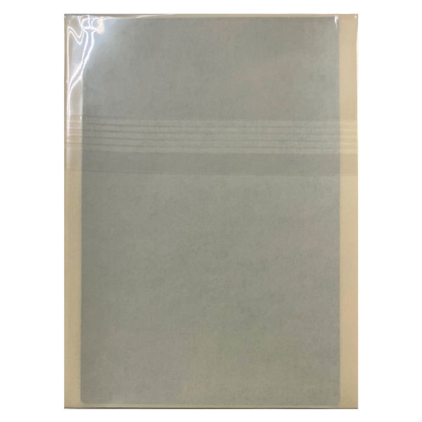 ヒカリ紙工 プライバシー保護シール 2P-155 (プライバシー保護大) 2P