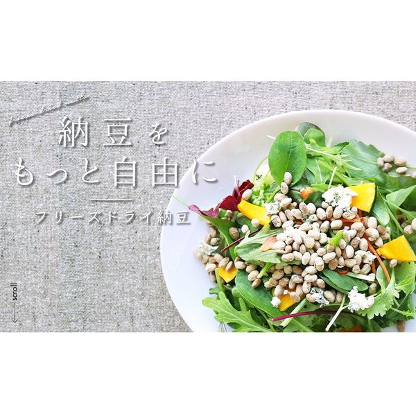 旭松食品 フリーズドライ ひきわり納豆 業務用 500g×5個 旭松食品 フリーズドライ ひきわり納豆 業務用 500g×5個