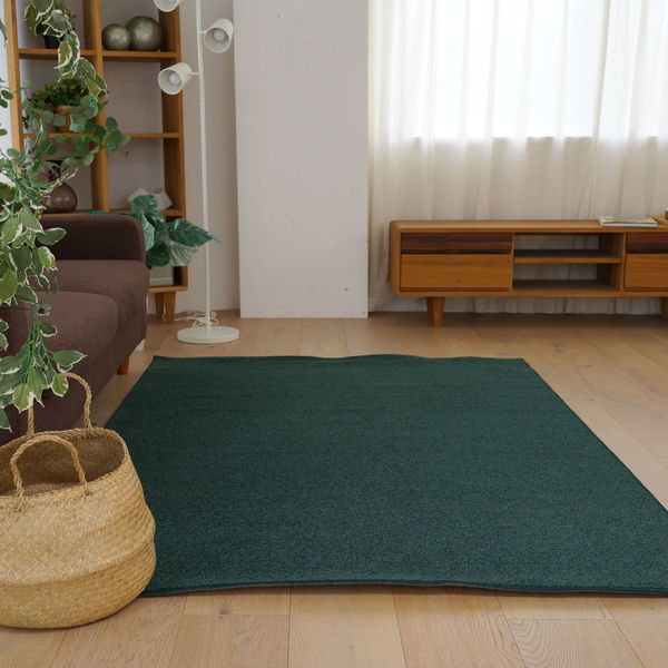 スミノエ コンシェルジュ オーダーラグ バンジュール 1300×500mm グリーン AS-BJ111-GN13050 1枚(直送品) スミノエ コンシェルジュ オーダーラグ バンジュール 1300×500mm グリーン AS-BJ111-GN13050 1枚(直送品)