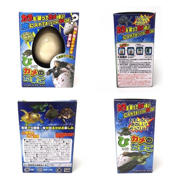 ファースト・アロー びっくりたまご カメ 20600669 12個（直送品） - アスクル