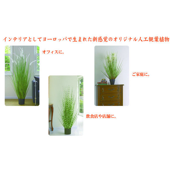 萩原 ZEBRA GRASS ゼブラグラス 高さ約140cm 光触媒加工付き 人工観葉