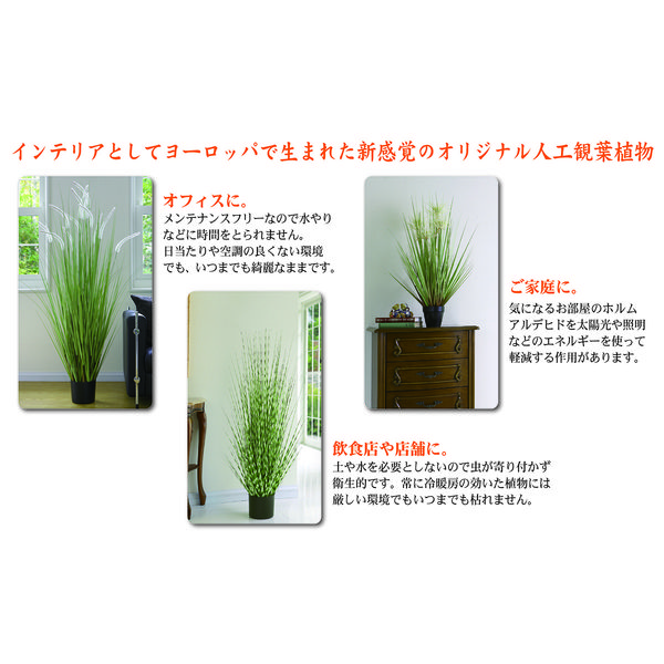 楽天市場】フェイクグリーン 大型 観葉植物 150cm おすすめ