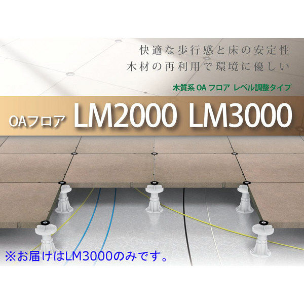 フクビ化学工業 フクビ OAフロアシリーズ OAフロア用 LM3000パネル（3000N） 木質系レベル調整タイプ OALMP30  1セット/2枚入（直送品） - アスクル