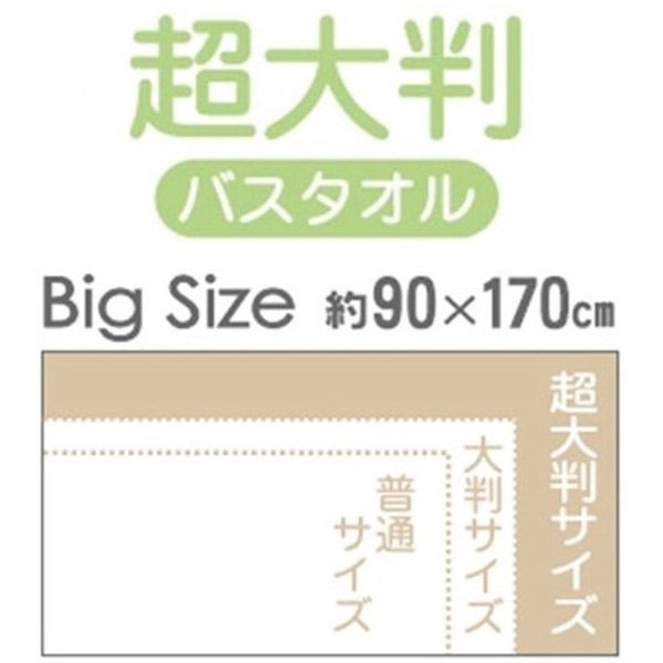 林 超大判バスタオル ネクストカラー ホワイト(白) LL605010 1セット