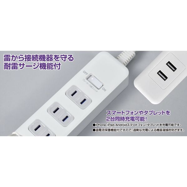 朝日電器(ELPA)　電源タップ　USB付耐雷タップ　2P式/4個口/USB×2ポート/雷ガード/一括集中スイッチ 5個