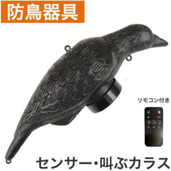 アサノヤ産業 センサー・叫ぶカラス 4935682031737 1個（直送品