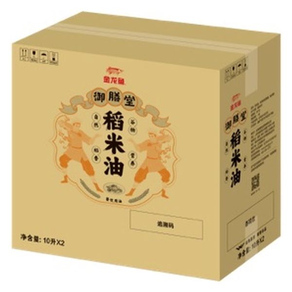 ジャパンソルト 米油１０L×2本 kari6948195818168 1セット（直送品）