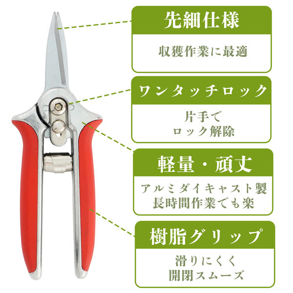 ビッグマン ミニ収穫ハサミ 150mm MG-316 1丁（直送品） - アスクル