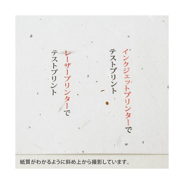 大直 コピー用紙 和紙 大礼紙 金銀砂子 A4 06040405 1セット（100枚：20枚入×5） - アスクル