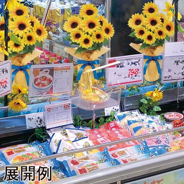 アルファ 食品サンプル 冷やし中華 RD8-0319 1個（直送品
