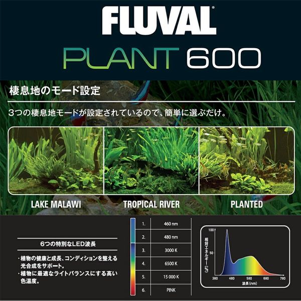 ジェックス ＧＥＸ　ＬＥＤ　ＦＬＵＶＡＬ　ＰＬＡＮＴ　６００ 239239 1個（直送品）