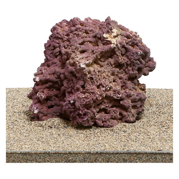 リーフ ジュラシックリーフロック ライブロック L（1～2．5kg