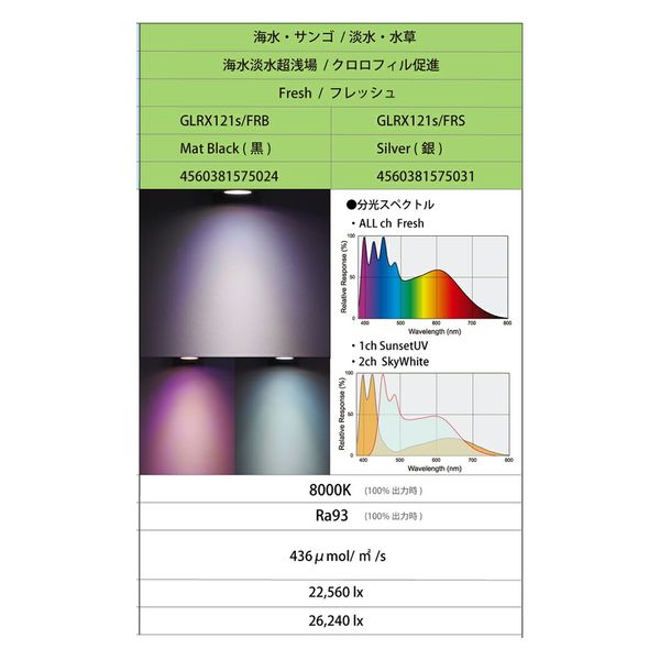 ボルクスジャパン ＧｒａｓｓｙＬｅＤｉｏＲＸ１２１ｓ Ｆｒｅｓｈ 黒 