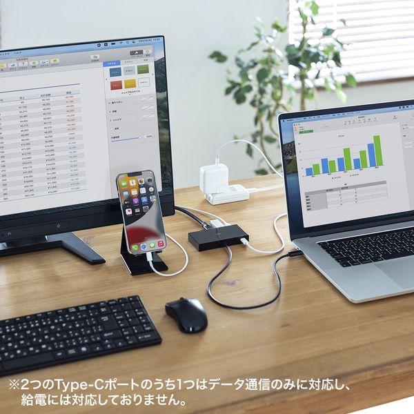 サンワサプライ USB Type-Cマルチ変換アダプタ AD-ALCMHV2BK 1個