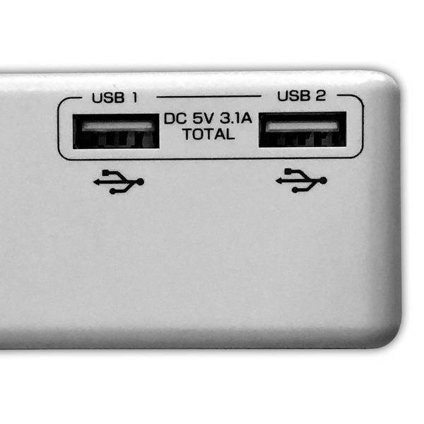 磁気研究所 USB2ポート付き 節電タップ(AC×2+USB×2) HDUTC2U2WH 1個 - アスクル