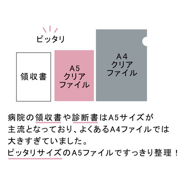 クリアファイル A5サイズ 6ポケット ブルー PET-FB 3冊 エヒメ紙工