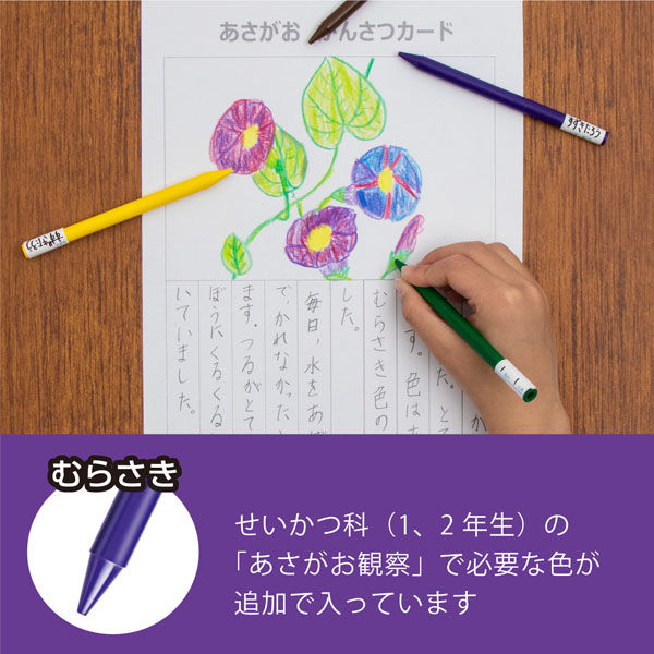 ぺんてる 小学校色えんぴつ　１２色＋３色　納品用 GCG2-12P3 3個（直送品）