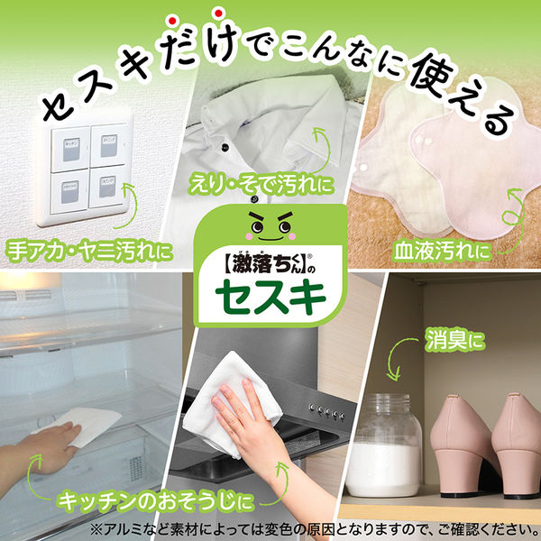 ナチュラルクリーニング 激落ちくん セスキ炭酸ソーダ 粉末