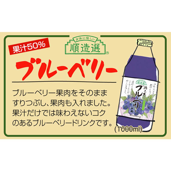 マルカイコーポレーション 順造選 ブルーベリー 1000ml×6個