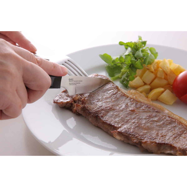 波刃ペティナイフ 約24cm ① Amazon｜VICTORINOX(ビクトリノックス) ペティナイフ 食洗機対応