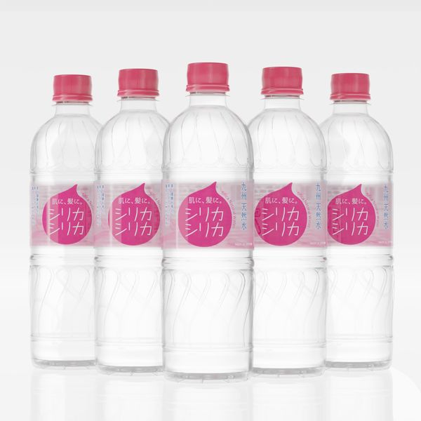 オンガネジャパン 九州天然水 シリカシリカ 500ml 1箱（24本入）