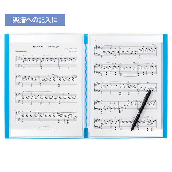 リヒトラブ CUBE FIZZ 書き込めるクリヤーブック A4 ピンク