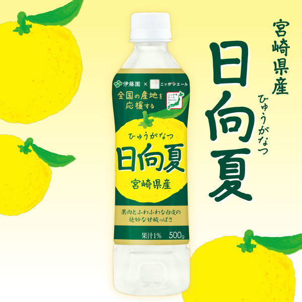 伊藤園 日向夏 宮崎県産 500g ニッポンエール 1箱（24本入