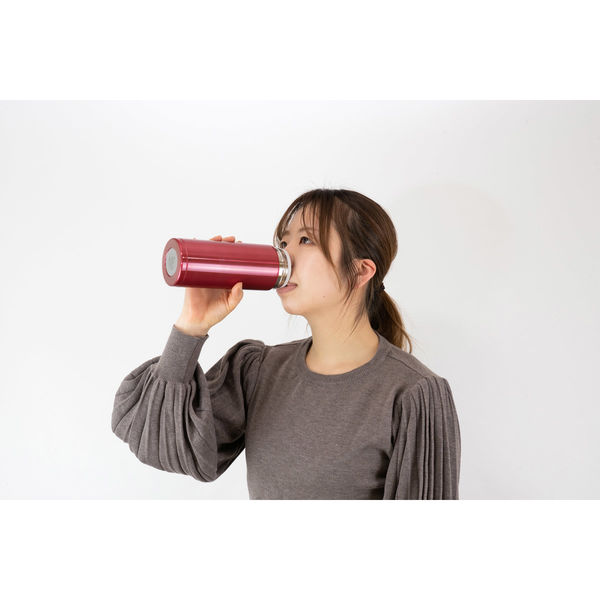 和平フレイズ フォルテック サースティマグボトル600ml(レッド
