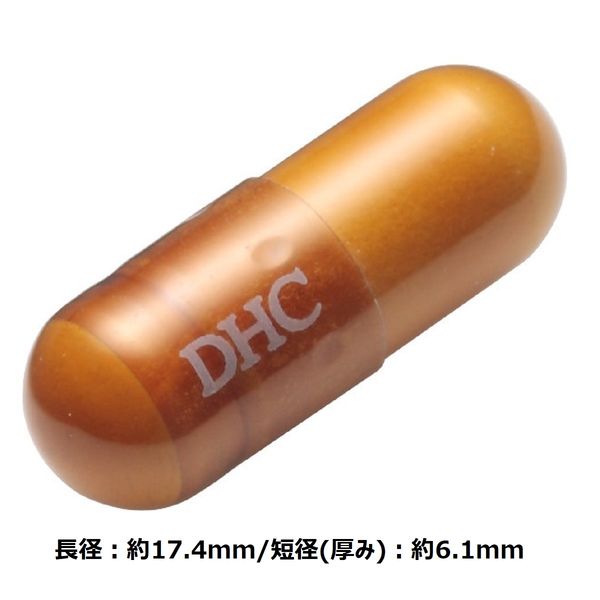 DHC 5-ALA 20日分 20粒 5ala コエンザイムQ10 鉄 ビタミンD 亜鉛 健康 ディーエイチシー サプリメント