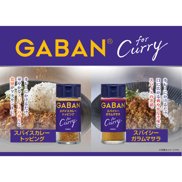 GABAN for Curry スパイシーガラムマサラ 17g 1個 ハウス食品