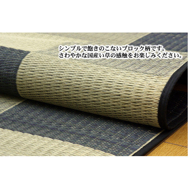 イケヒコ 純国産 い草ラグカーペット 『Fブロック2』 グリーン 約191