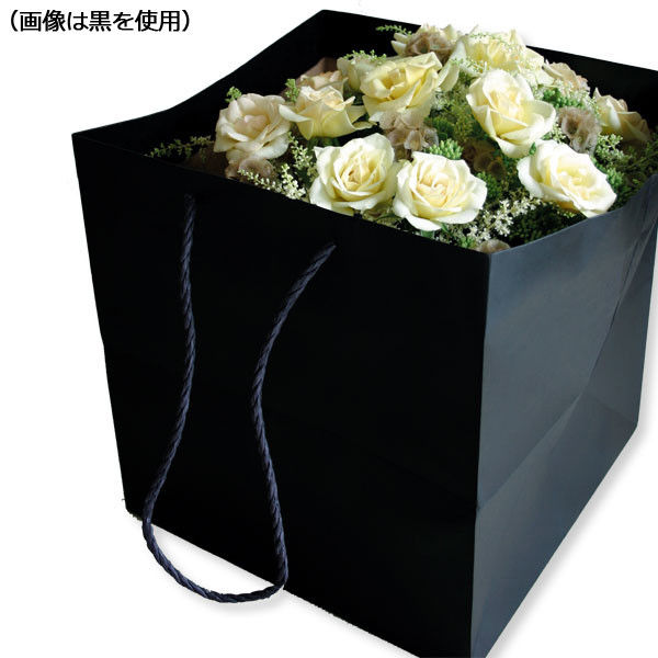 【ケース販売】HEIKO 紙袋 カラーアレンジバッグ SS 焦茶 006441041 1ケース(10枚入×5袋 合計50枚)（直送品）