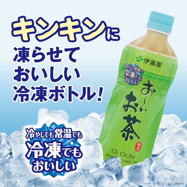 伊藤園 冷凍兼用ボトル おーいお茶 緑茶 485ml 1セット（48本