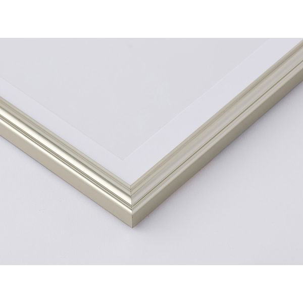 大仙 OA額 プリベル シルバー（銀） A3 T00930804 - アスクル