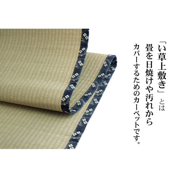 イケヒコ 純国産 い草 上敷き カーペット 糸引織 『梅花』 江戸間3畳