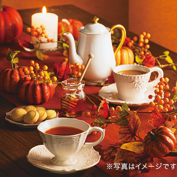 ルピシア Trick or Tea! ハロウィーンラベル缶 1缶(50g) 茶葉 - アスクル